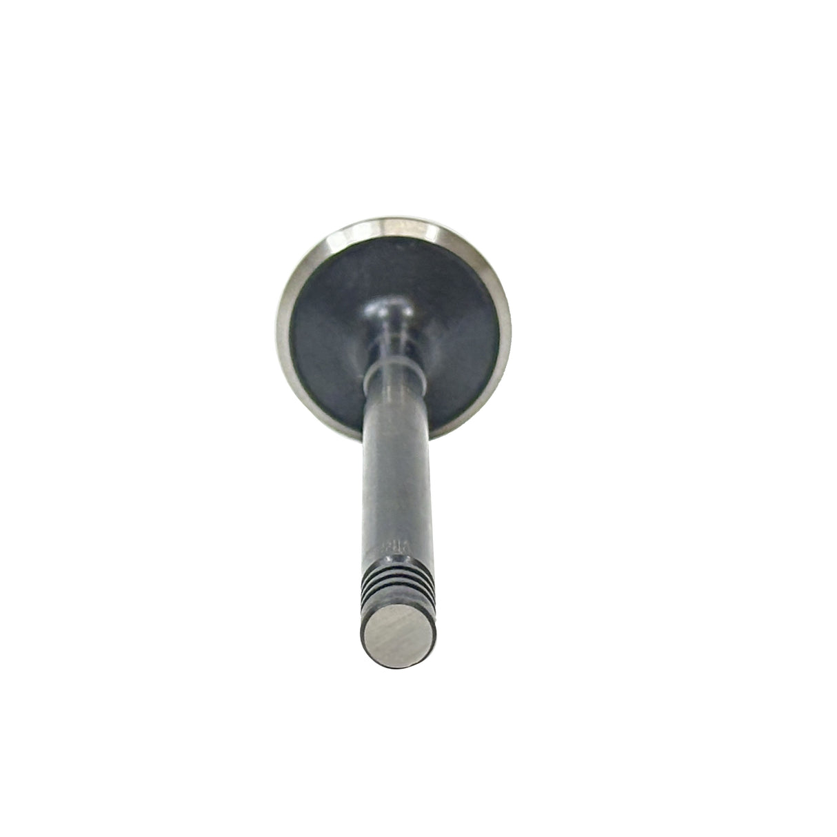 1979 Dodge D300 5.2L Exhaust Valve