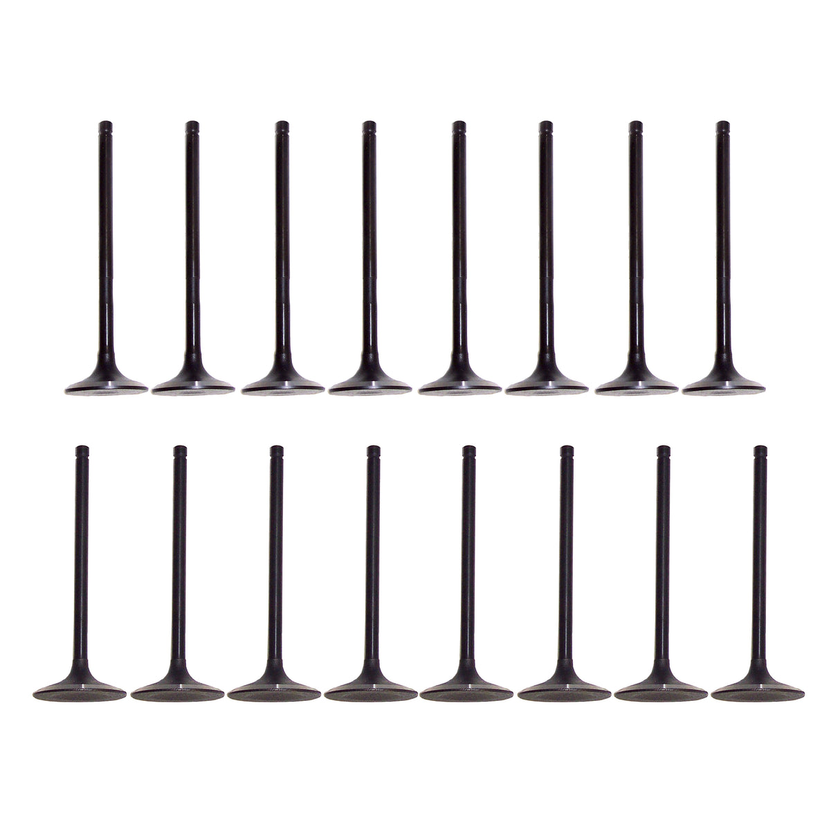 Exhaust Intake Valve Kit 2012-2022 Ford 2.0L