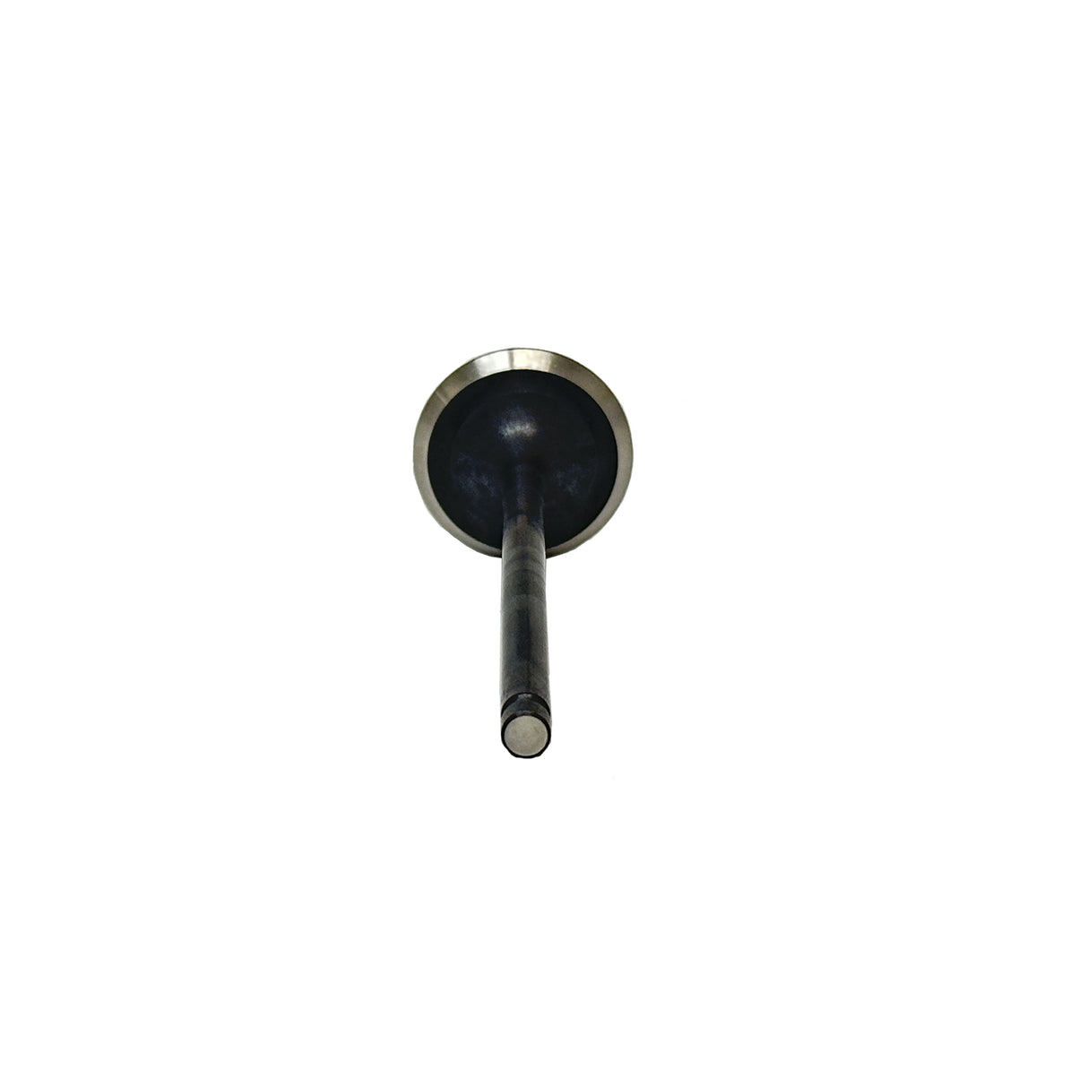 Exhaust Valve 2001-2004 Subaru 3.0L