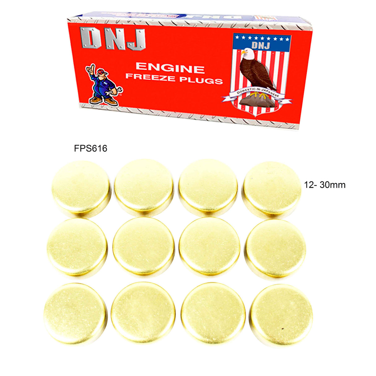 Expansion Plug Kit 1984-2004 INFINITI,Mercury,Nissan 3.0L-3.3L