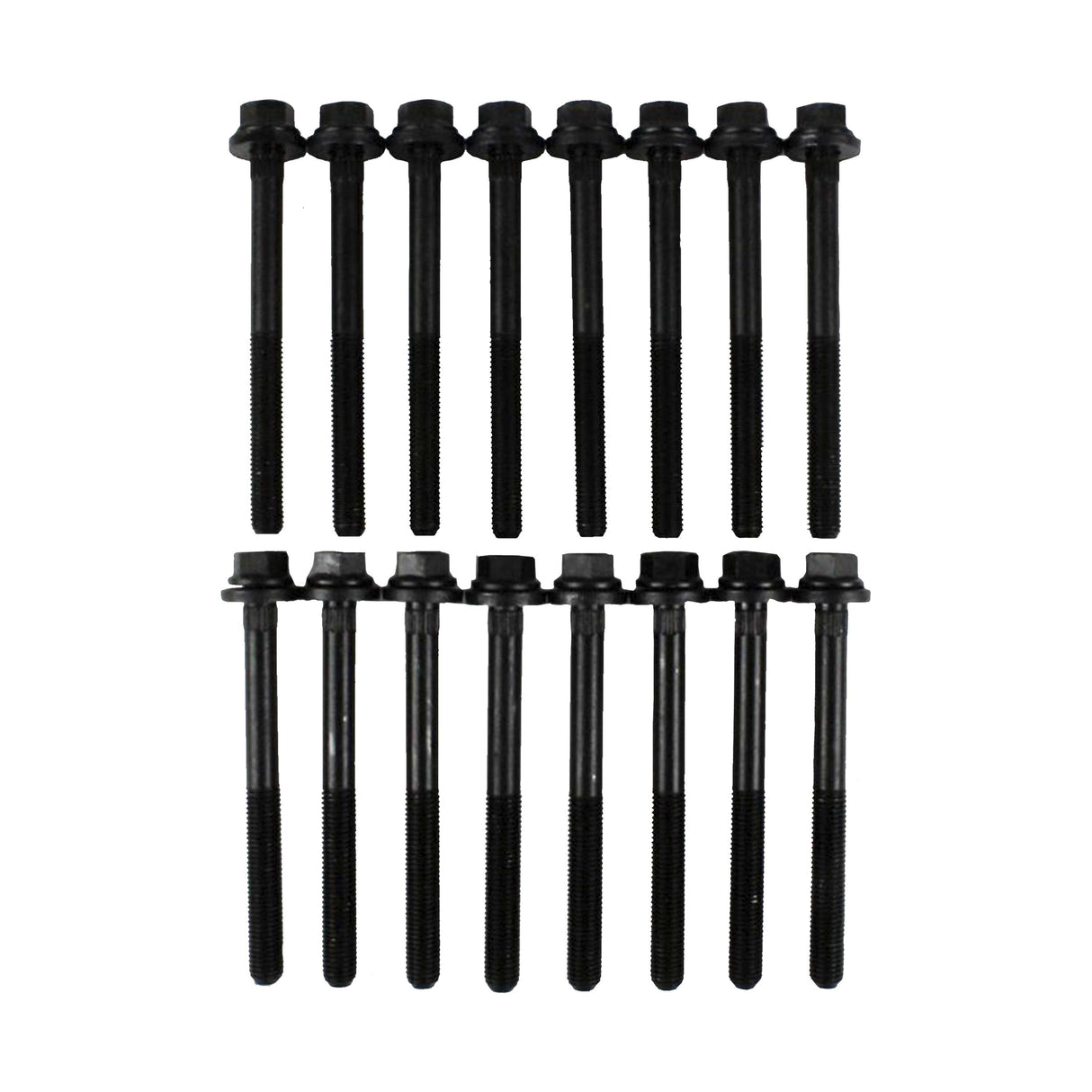 2008 Jeep Wrangler 3.8L Cylinder Head Bolt