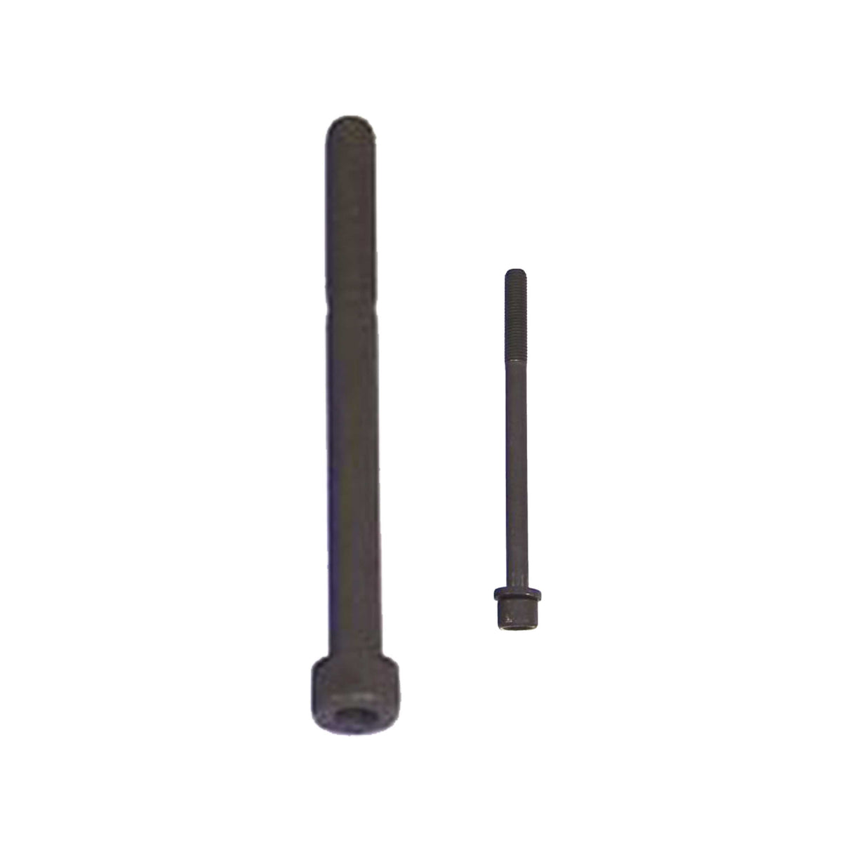 1994 Honda Passport 3.2L Cylinder Head Bolt