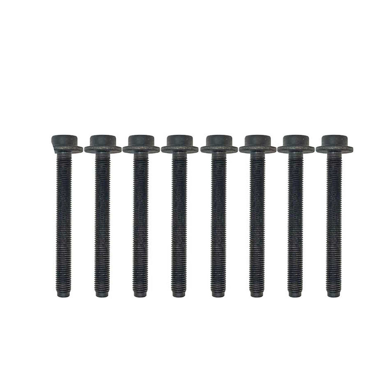 Cylinder Head Set with Head Bolt Kit Ford 2020-2022 1.5L
