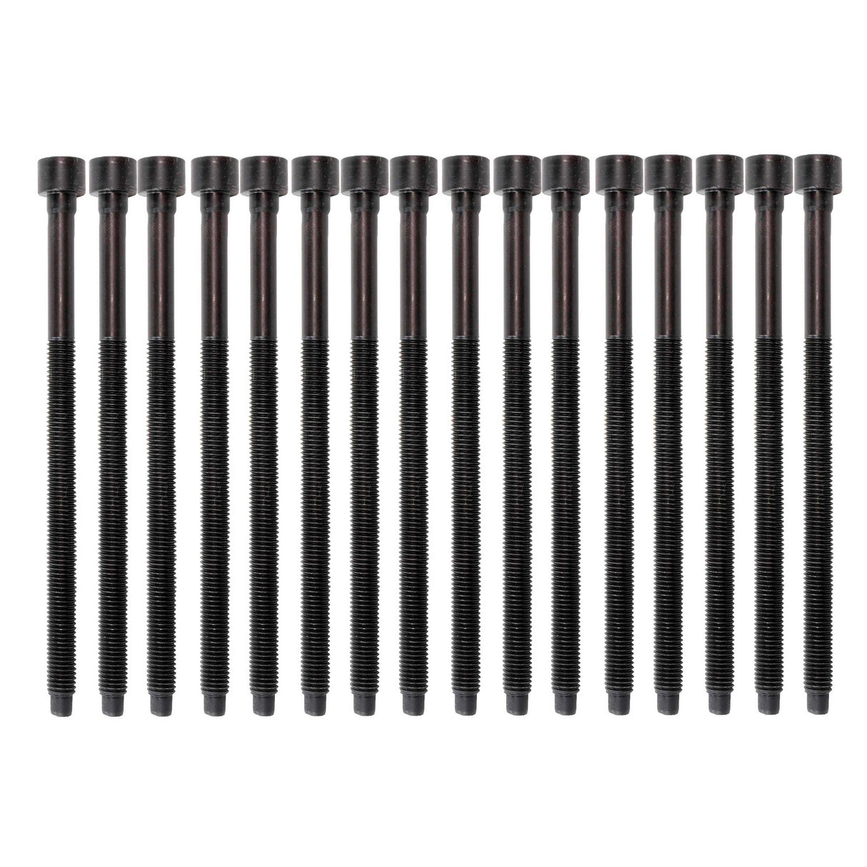 Cylinder Head Bolt Set 2005-2012 Audi,Volkswagen 3.0L-3.2L