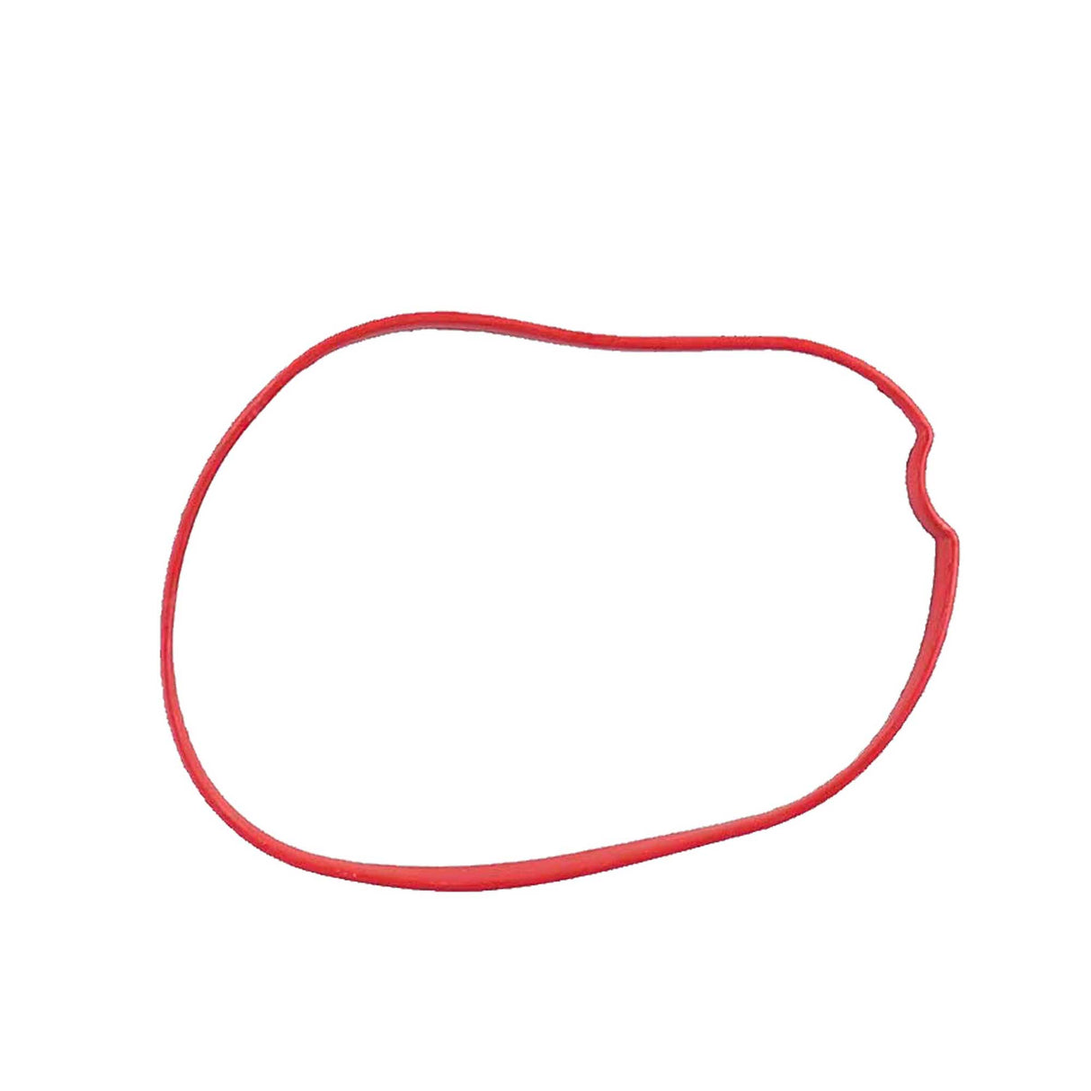 2001 Ford E-150 Econoline Club Wagon 5.4L Intake Manifold Gasket
