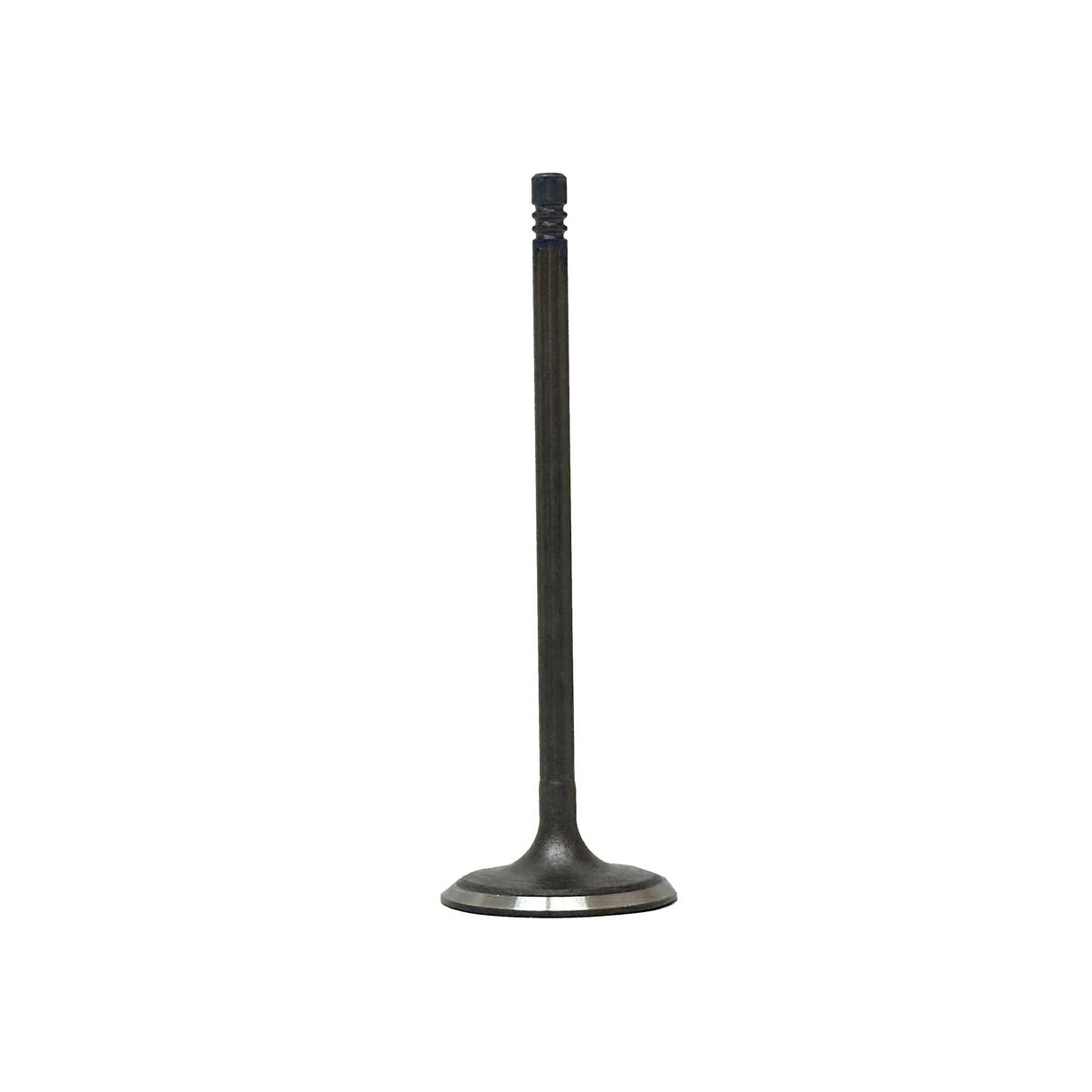 Intake Valve 2013-2022 Chrysler,Dodge,Fiat,Jeep,Ram 2.4L