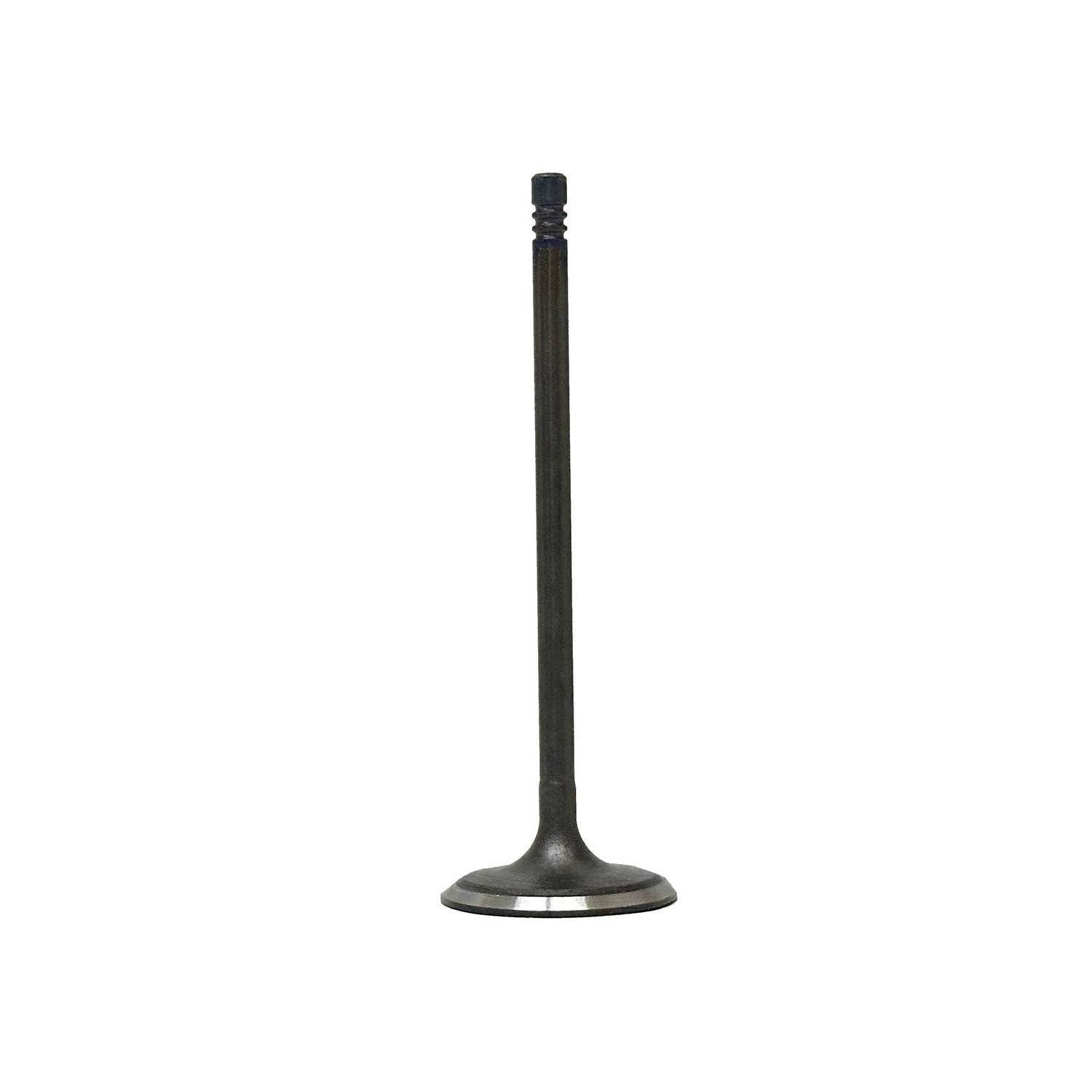 Intake Valve 2013-2022 Chrysler,Dodge,Fiat,Jeep,Ram 2.4L