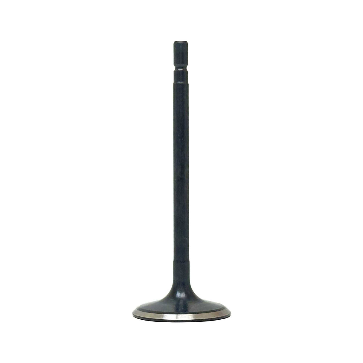 Intake Valve 2013-2018 INFINITI 3.5L