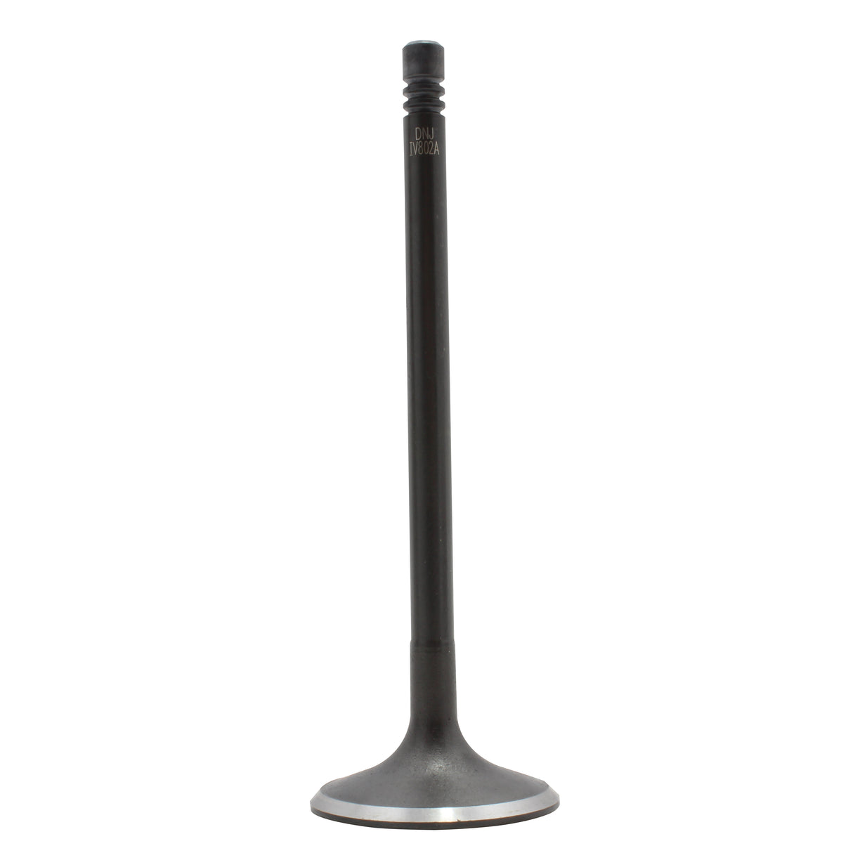 Intake Valve 2015-2018 Audi 2.0L