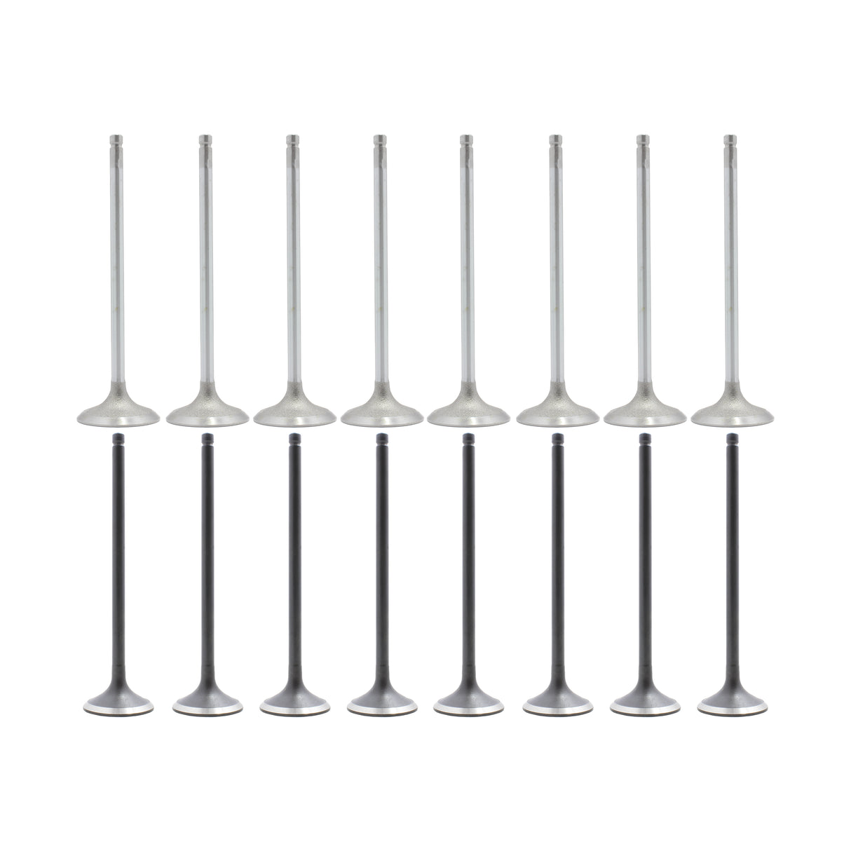 Exhaust Intake Valve Kit 1994-2002 Acura 2.2L-2.3L