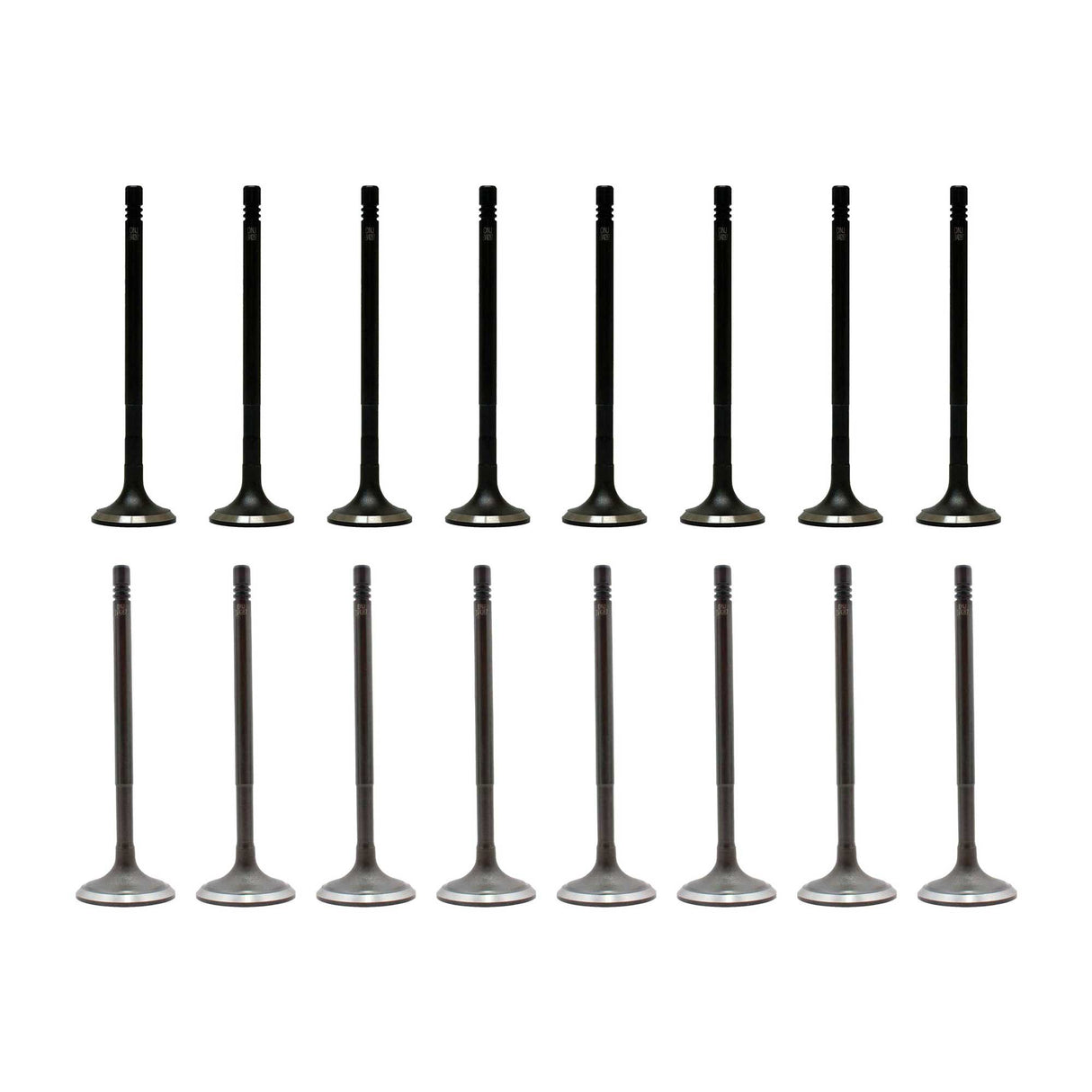 Exhaust / Intake Valve Kit 2012-2015 Mercedes-Benz 1.8L