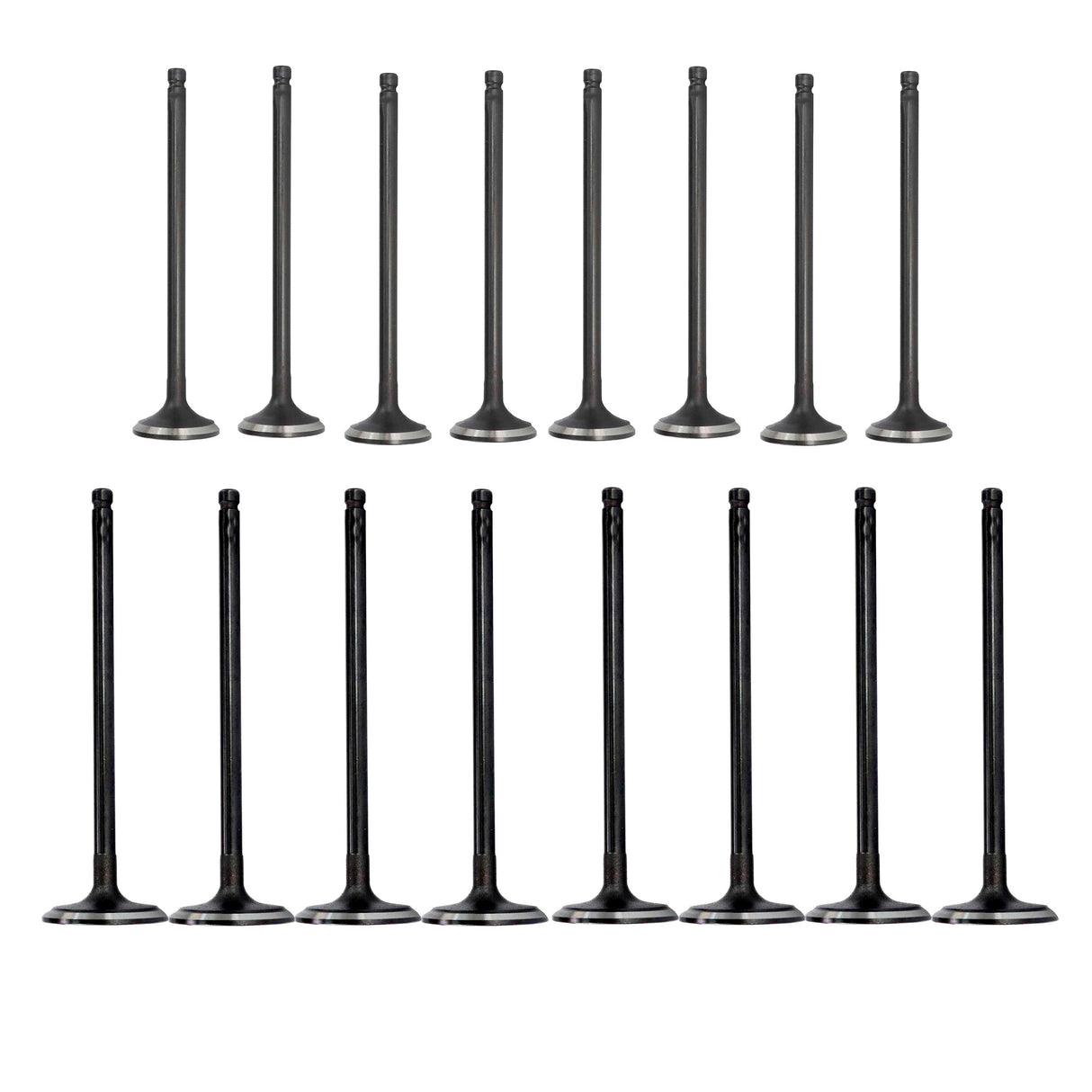 Exhaust / Intake Valve Kit 2011-2017 Nissan 1.6L