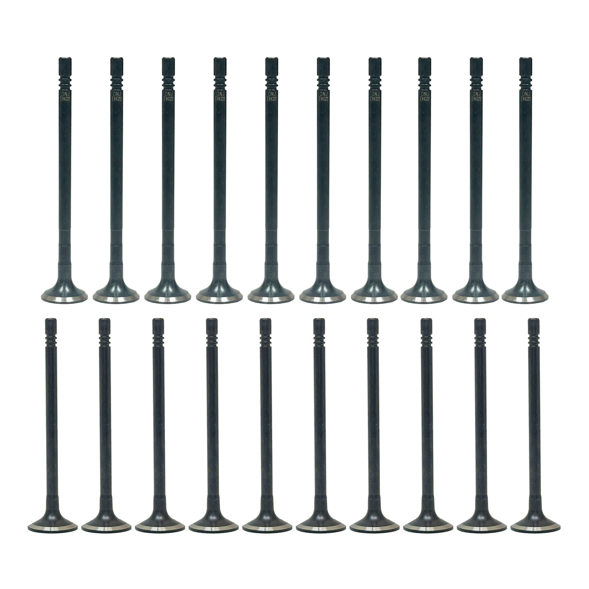 Exhaust / Intake Valve Kit 2015-2019 Ford 3.2L