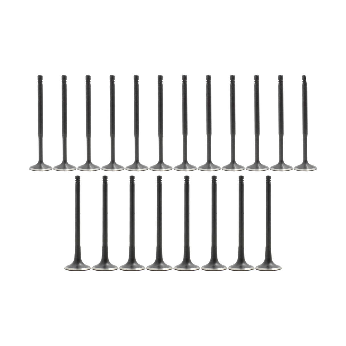 Exhaust Intake Valve Kit 1997-2006 Audi 1.8L