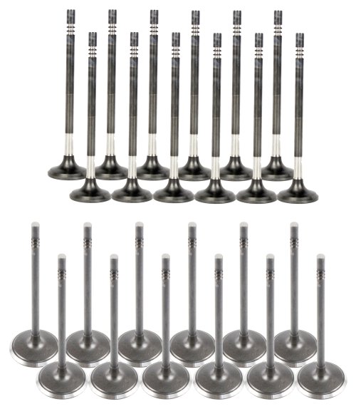 11-16 Chrysler Dodge Ram 3.6L Intake and Exhaust Valve Set