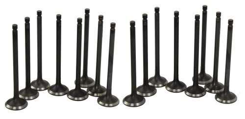 96-01 Hyundai 1.8L-2.0L Intake and Exhaust Valve Set