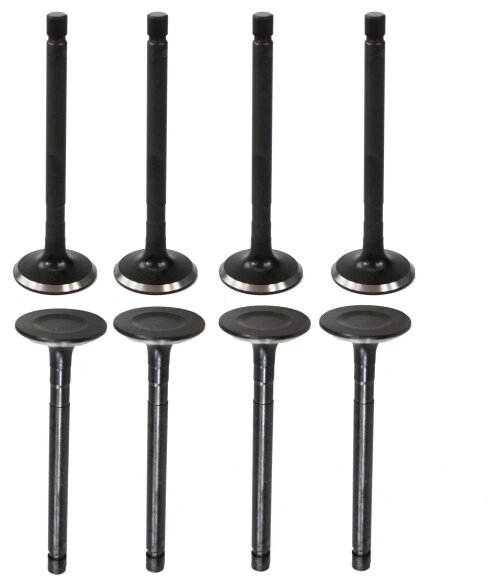 83-86 Toyota 2.0L Intake and Exhaust Valve Set