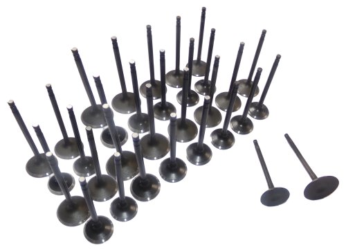 01-14 Nissan Suzuki Infiniti 3.5L-5.6L Intake and Exhaust Valve Set