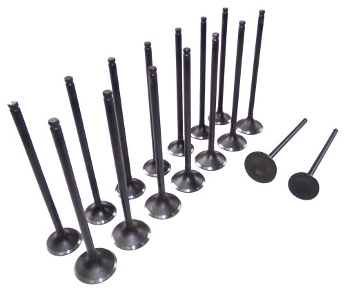 99-02 Daewoo 1.6L Intake and Exhaust Valve Set