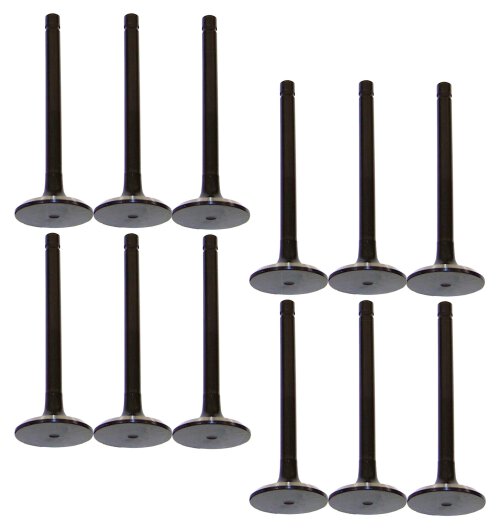 85-96 Ford 4.9L Intake and Exhaust Valve Set