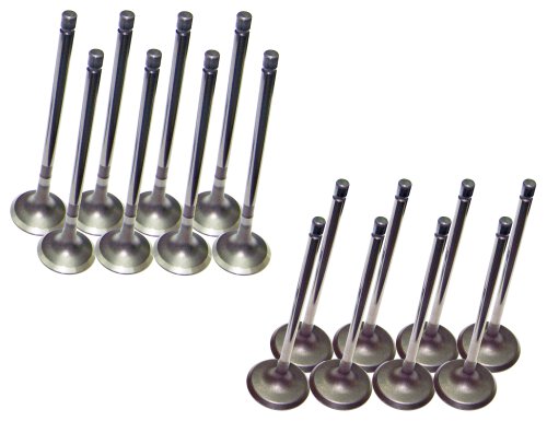 11-16 Hyundai Kia 1.8L-2.0L Intake and Exhaust Valve Set