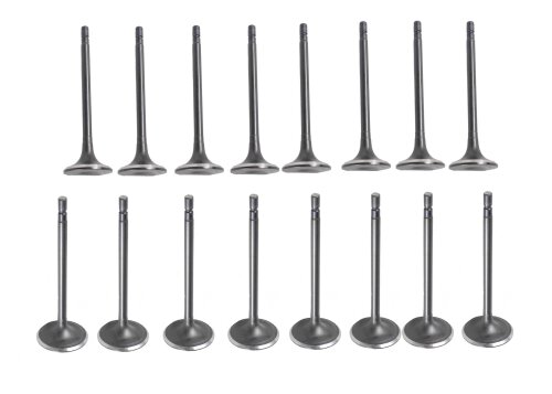 13-17 Infiniti Nissan 2.5L Intake and Exhaust Valve Set