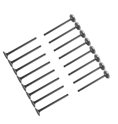 12-15 Scion 1.3L Intake and Exhaust Valve Set