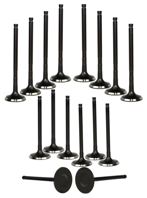 98-05 Toyota Chevrolet 1.8L Intake and Exhaust Valve Set