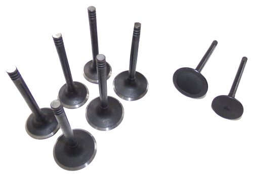 93-06 Volkswagen Audi 2.0L-2.8L Intake and Exhaust Valve Set