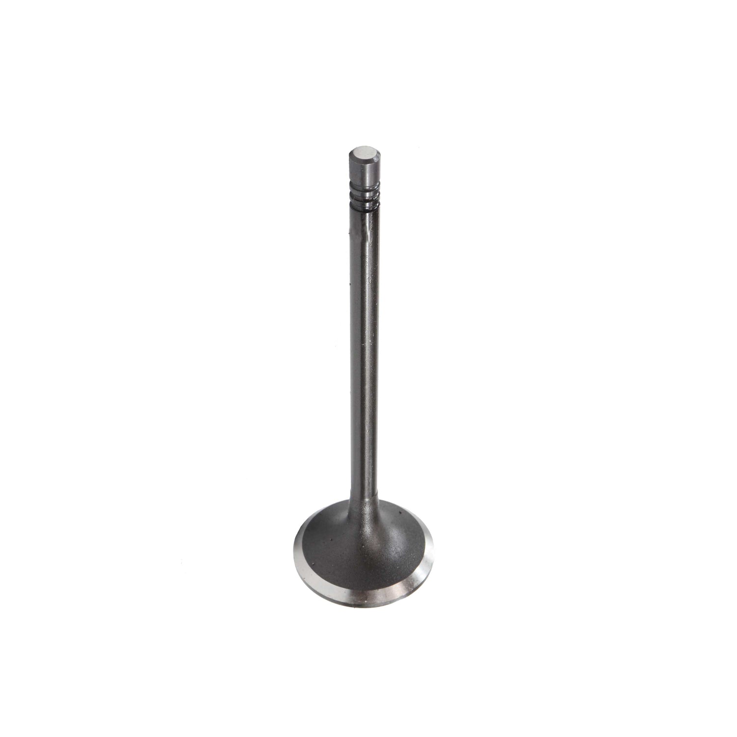 Intake Valve 2014-2015 BMW 2.0L-3.0L