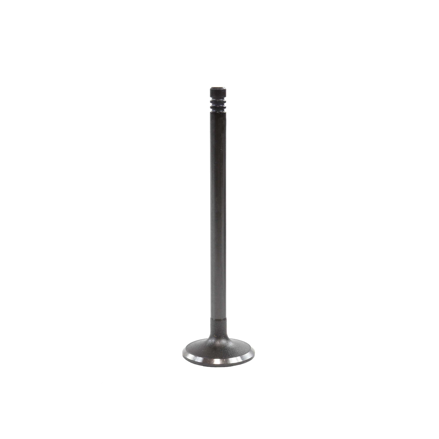 Intake Valve 2009-2013 BMW 3.0L