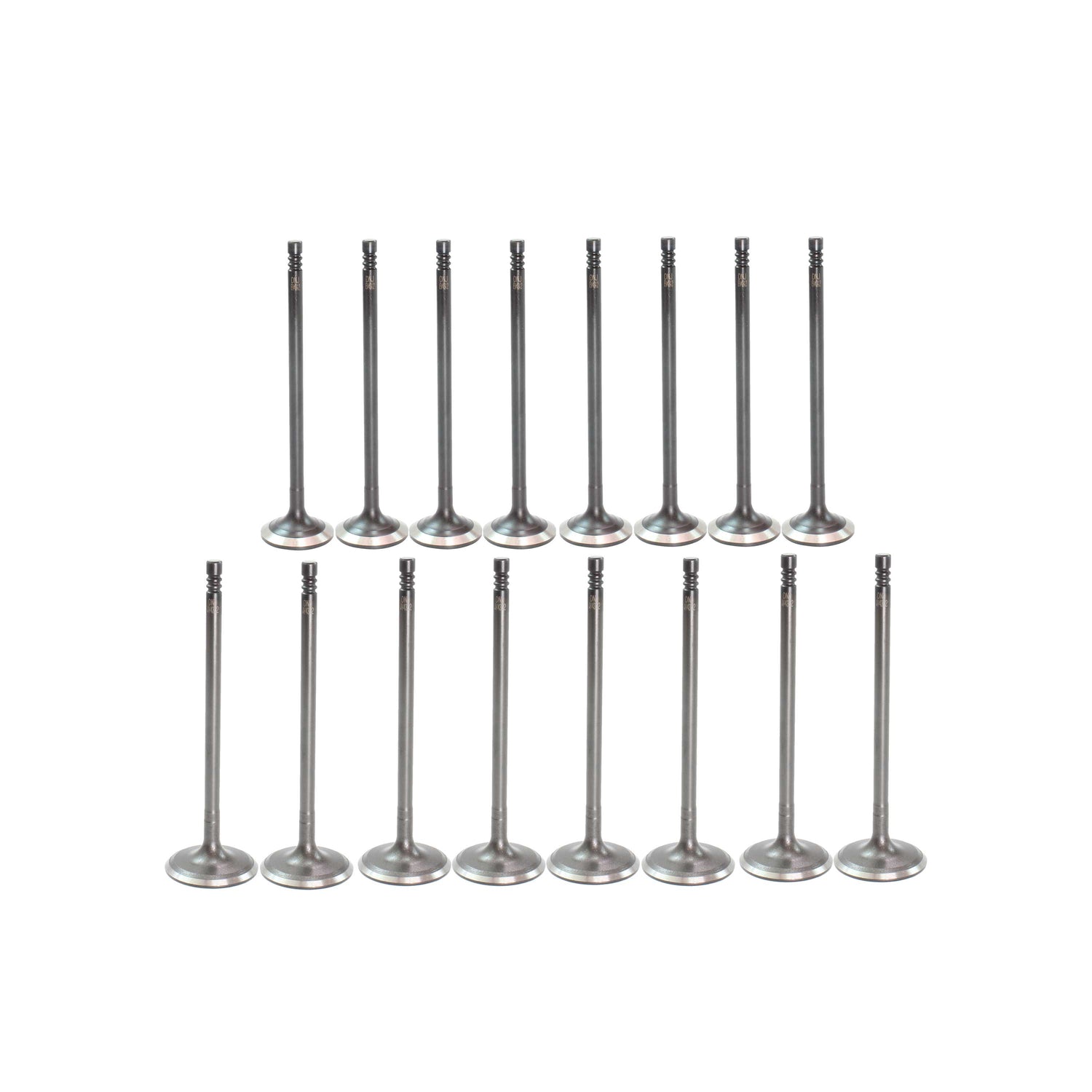 Exhaust / Intake Valve Kit 2013-2019 Ford 1.5L-1.6L