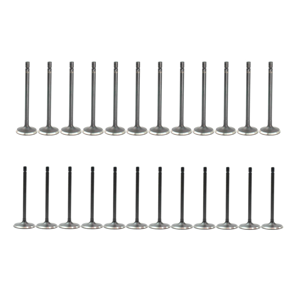 Exhaust / Intake Valve Kit 2012-2017 Buick,Cadillac,Chevrolet,GMC 3.6L