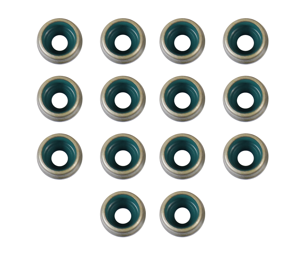 Valve Stem Oil Seal Set 2011-2021 Buick,Cadillac,Chevrolet 1.4L