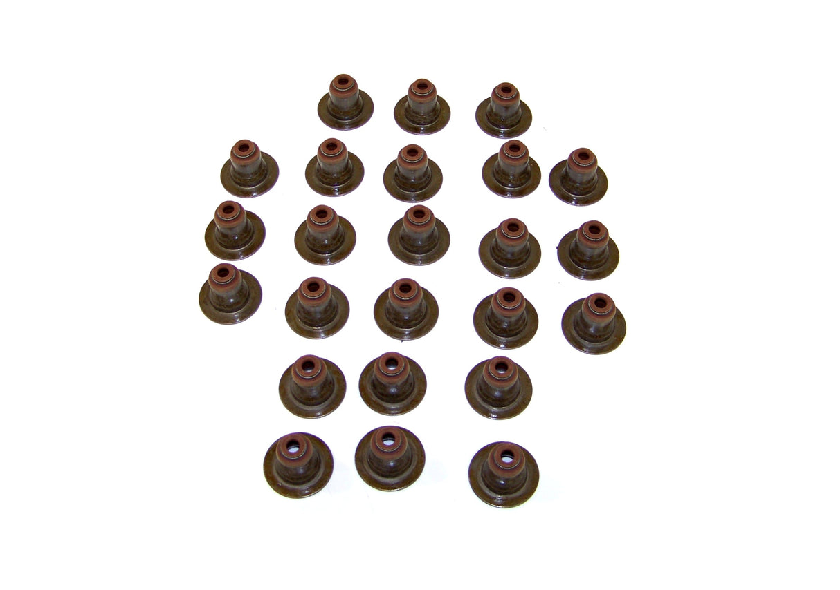 Valve Stem Oil Seal Set 2000-2008 Jaguar,Lincoln 2.5L-3.0L