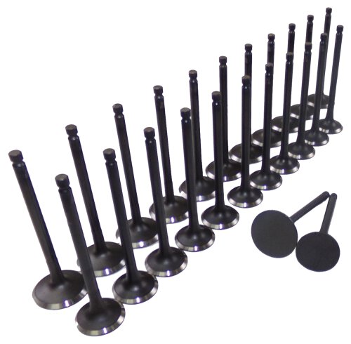 99-10 Kia Hyundai 2.5L-2.7L Intake and Exhaust Valve Set