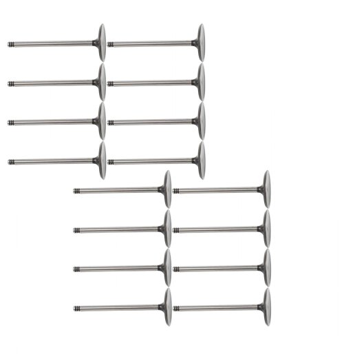 10-16 Ford 6.2L Intake and Exhaust Valve Set