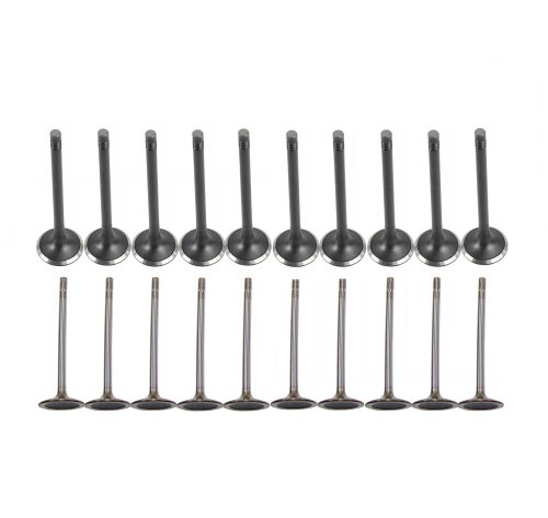 05-15 Audi Volkswagen 2.0L-4.2L Intake and Exhaust Valve Set