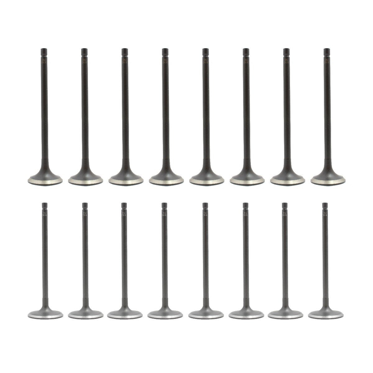 dnj exhaust / intake valve kit 2013-2019 nissan sentra,sentra,sentra l4 1.8l vk16674