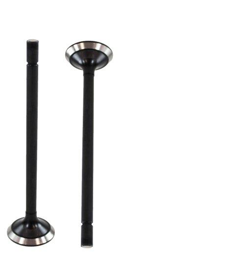 dnj intake valve 2001-2016 chevrolet,gmc,hummer silverado 2500 hd,silverado 3500,sierra 2500 hd v8 6.6l iv3220