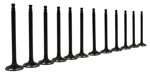 95-04 Nissan Mercury Infiniti 3.0L-3.3L Intake and Exhaust Valve Set