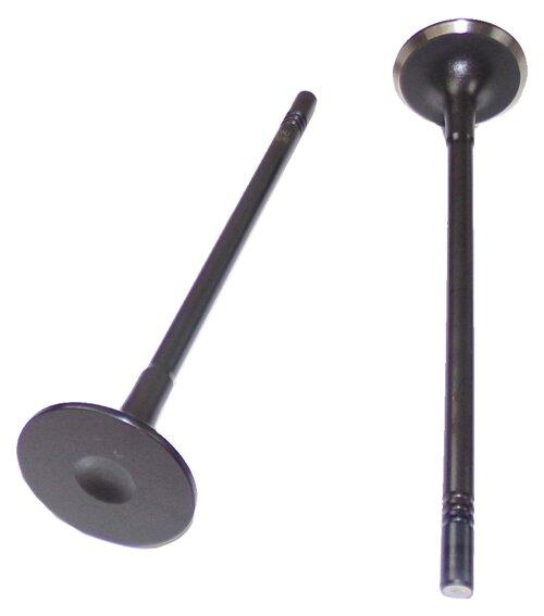 09-11 Chevrolet Pontiac Aveo Aveo5 G3 1.6L L4 Exhaust Valve EV340