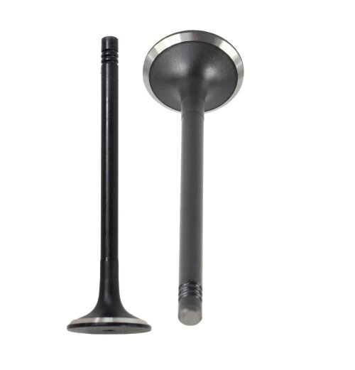05-15 Audi Volkswagen 2.0L-5.2L Exhaust Valve EV802