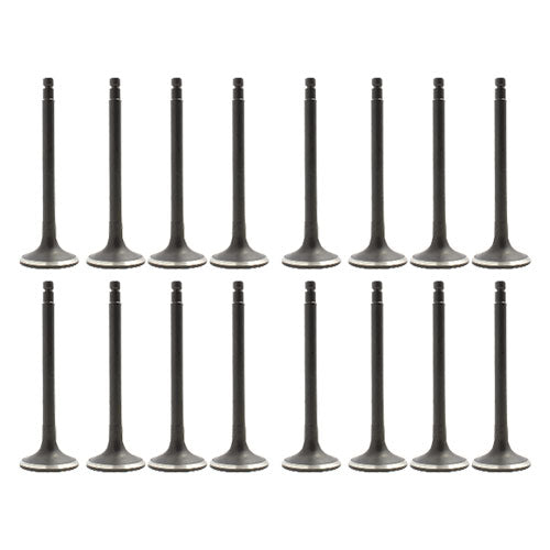 00-01 Nissan 2.4L Intake and Exhaust Valve Set