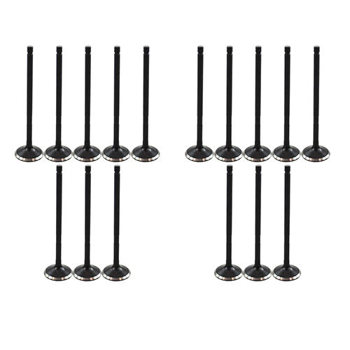 00-06 Pontiac Toyota 1.8L Intake and Exhaust Valve Set