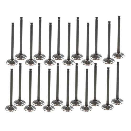 92-97 Acura Honda Isuzu 3.2L Intake and Exhaust Valve Set
