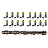 Engine Camshaft and Lifter Kit 1997-2005 Dodge, Plymouth, Chrysler 2.0L