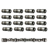 Engine Camshaft and Lifter Kit 1996-2002 Chevrolet, GMC, Cadillac 5.0L-5.7L