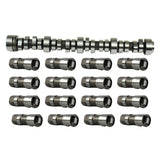 Engine Camshaft and Lifter Kit 1999-2007 Chevrolet, GMC, Cadillac, Buick 4.8L-5.3L