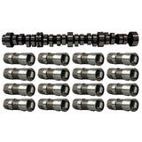 Engine Camshaft and Lifter Kit 2011-2020 Chevrolet, GMC 6.0L